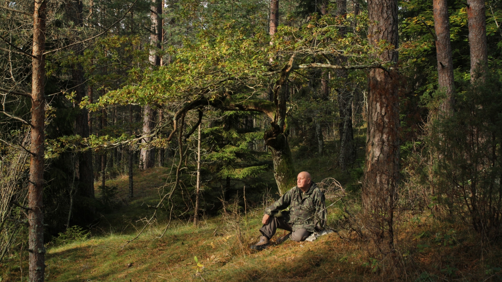 DFokumentālā filma FREDS JISI. ESĪBAS SKAISTUMS (2020, 64 min, Igaunija